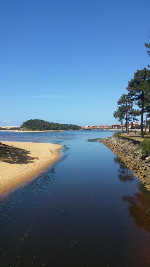 Le 322 Entre Et Ocean