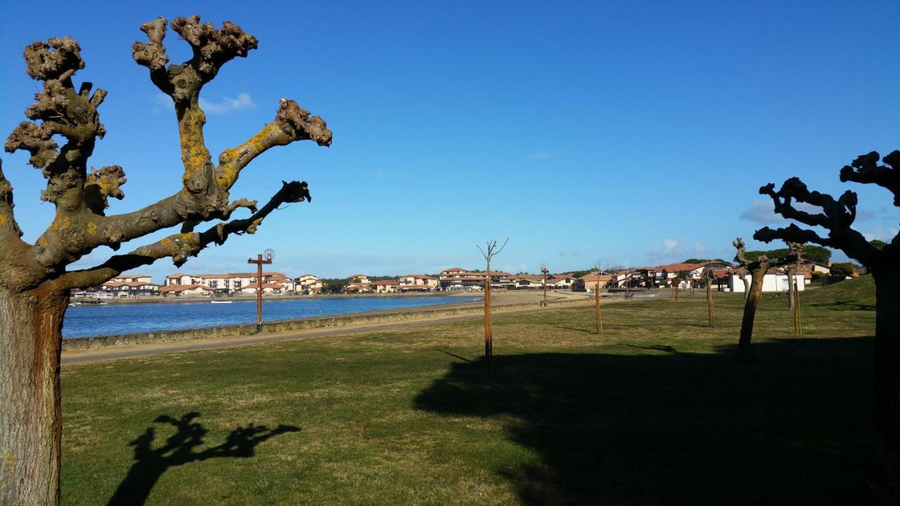 Apartment Le 322 Entre Et Ocean